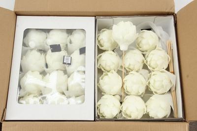 Huis en tuindecoratie overig H%