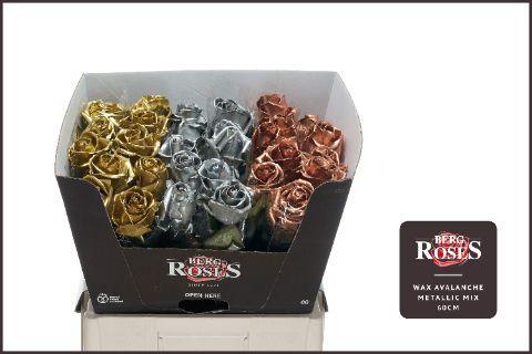 Rosa grootbloemig gewaxt H%