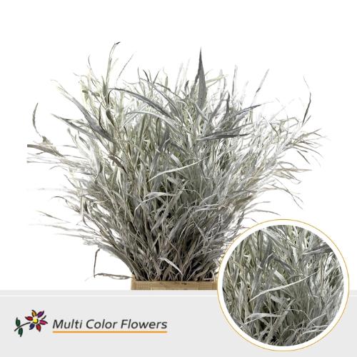 Decoratiegroen kleurbehandeld per bos H%