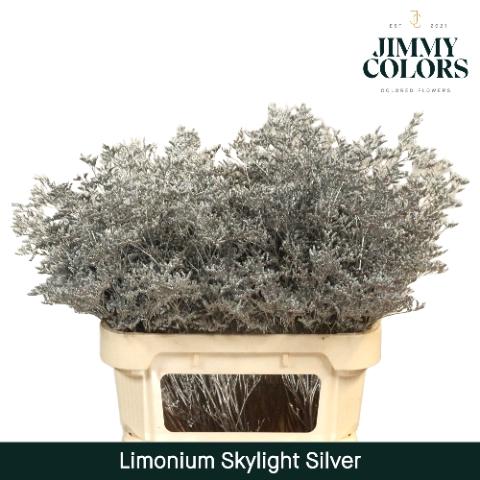 Limonium overig kleurbehandeld H%