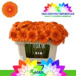 1ae3ab25-61fe-4201-b95b-b0845ed9559e.jpg