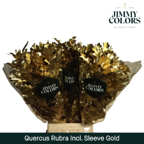 Quercus rubra kleurbehandeld H%