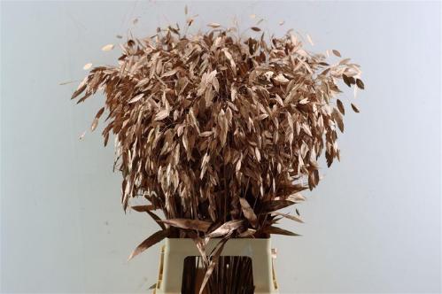 Snijbloemen overig kleurbehandeld H%