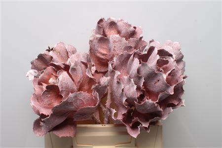 Huis en tuindecoratie overig 6%