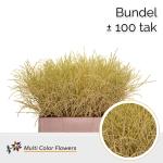 1ba109ad-2eeb-470c-b545-454ec629bba9.jpg