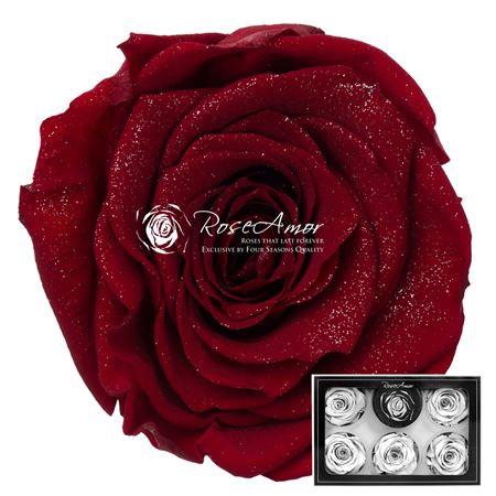 Rosa grootbloemig kleurbehandeld H%