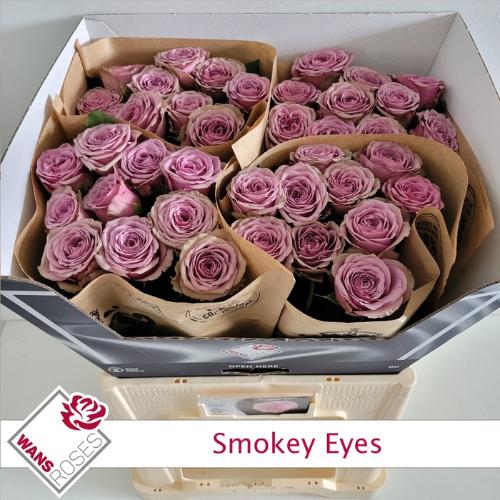 Rosa grootbloemig Smokey Eyes
