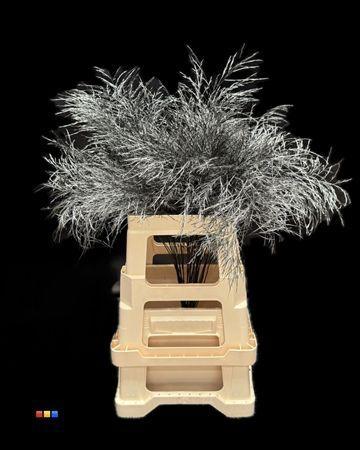 Decoratiegroen kleurbehandeld per bos H%