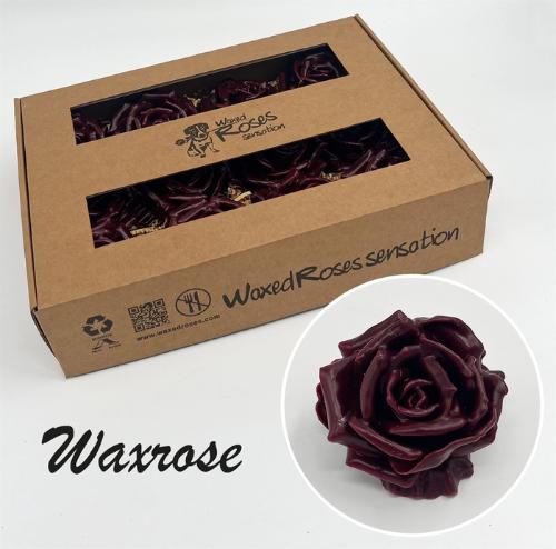 Rosa grootbloemig gewaxt H%