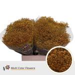 1cbc7745-35ff-4a54-92c5-ba929a2a9aed.jpg