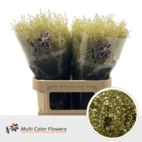 Lepidium kleurbehandeld H%