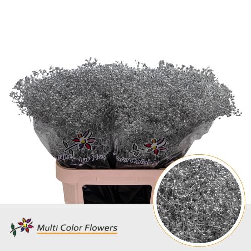 Gypsophila overig kleurbehandeld H%