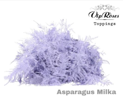 Asparagus overig kleurbehandeld H%