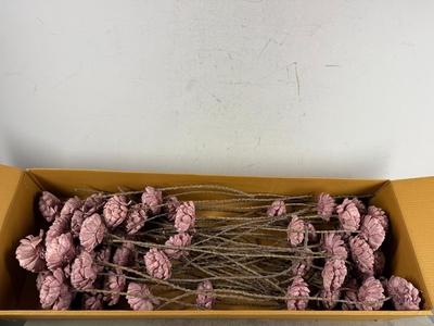 Huis en tuindecoratie overig H%