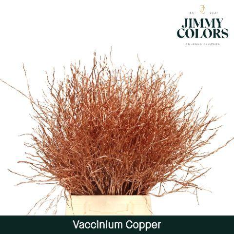 Vaccinium kleurbehandeld H%