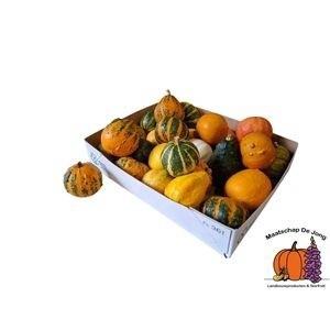 Siervruchten per stuk Cucurbita pepo gemengd