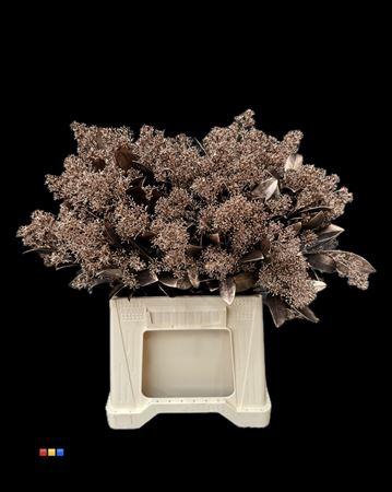Skimmia per bos overig kleurbehandeld H%