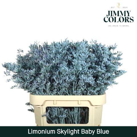 Limonium overig kleurbehandeld H%