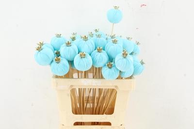 Huis en tuindecoratie overig H%