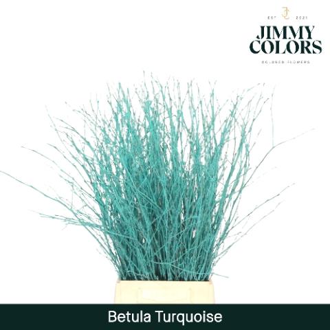 Betula kleurbehandeld H%