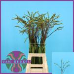 1ef9ffd1-e132-4fe8-a3d2-07cd29157cf9.jpg