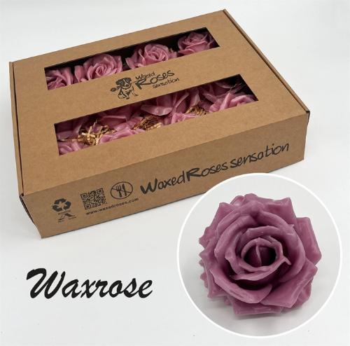 Rosa grootbloemig gewaxt H%