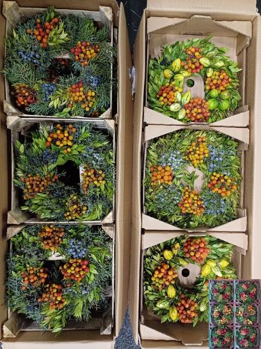 Siervruchten per stuk Sierfruit krans H%