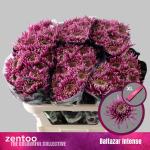 1fb92a78-ebe9-4bbb-bd93-b13972eb3f25.jpg