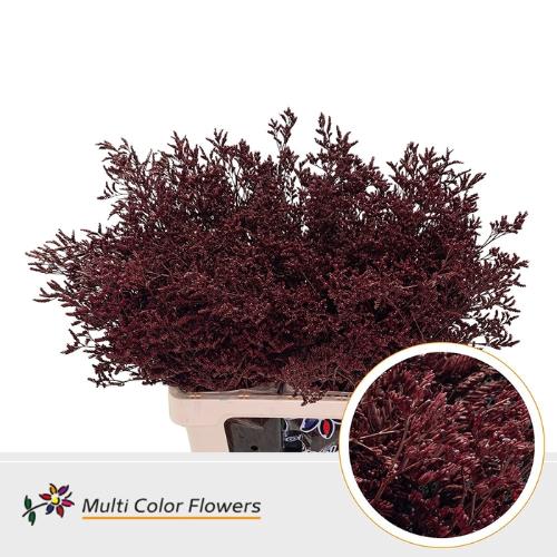 Limonium overig kleurbehandeld H%