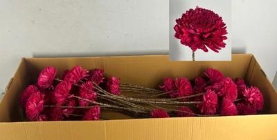 Huis en tuindecoratie overig H%