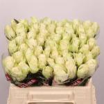 21aed4fe-8221-4fe0-b4cd-82f2c616d174.jpg