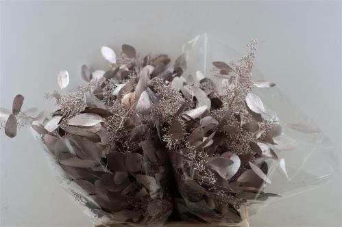 Eucalyptus kleurbehandeld per bos H%