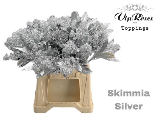 Skimmia per bos overig kleurbehandeld H%