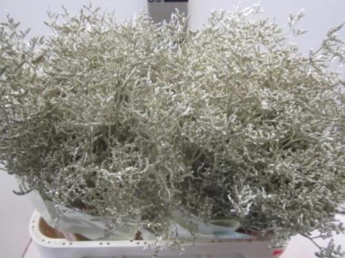 Limonium overig kleurbehandeld H%