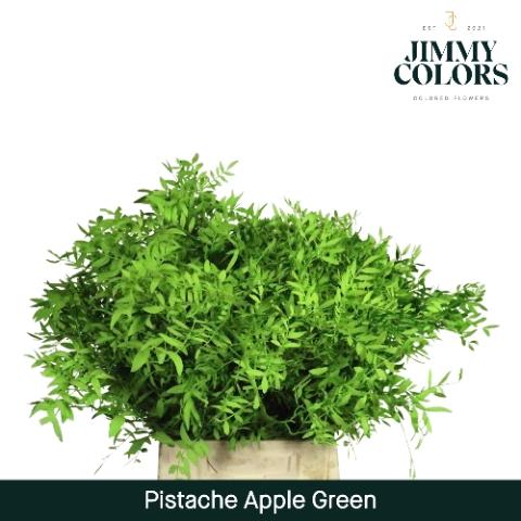 Pistacia kleurbehandeld H%