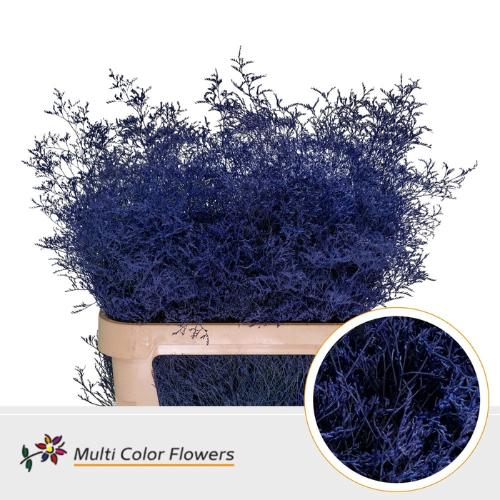 Limonium overig kleurbehandeld H%