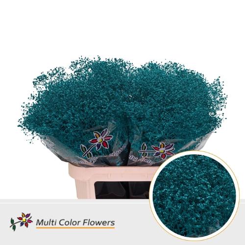 Gypsophila overig kleurbehandeld H%