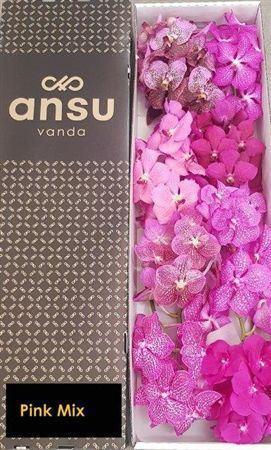 Vanda per tak gemengd