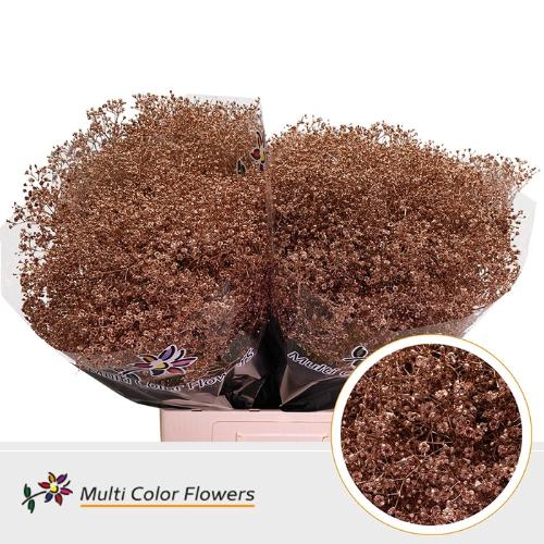 Gypsophila overig kleurbehandeld H%