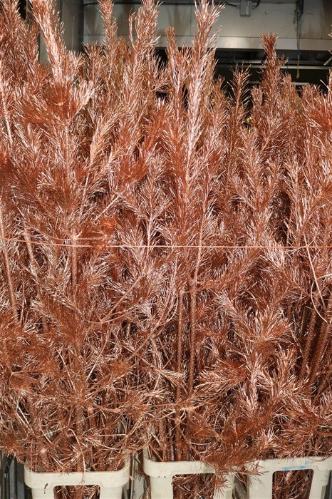 Decoratiegroen kleurbehandeld per bos H%