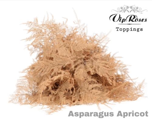 Asparagus overig kleurbehandeld H%