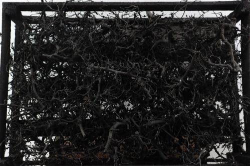 Huis en tuindecoratie overig H%