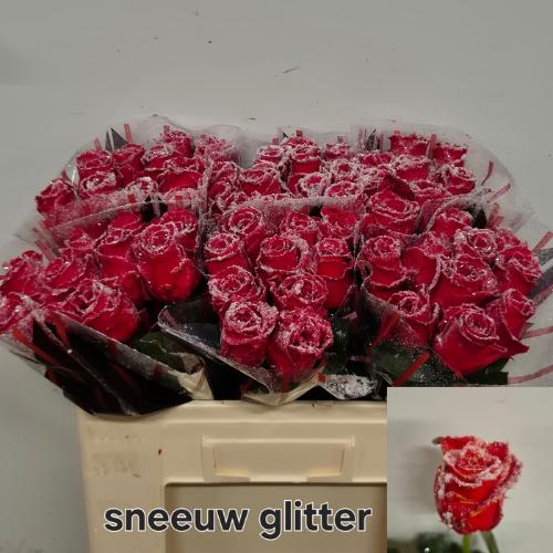 Rosa grootbloemig gewaxt H%