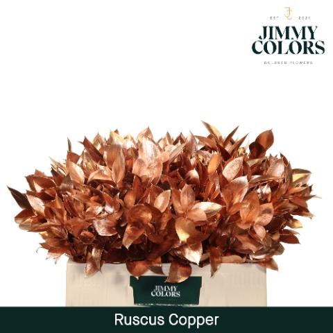 Ruscus kleurbehandeld H%