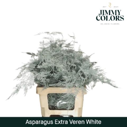 Asparagus overig kleurbehandeld H%