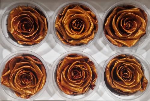 Rosa grootbloemig kleurbehandeld H%