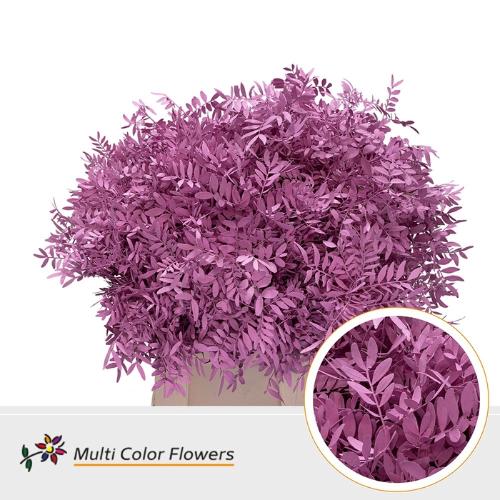 Decoratiegroen kleurbehandeld per bos H%