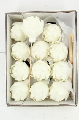 Huis en tuindecoratie overig H%