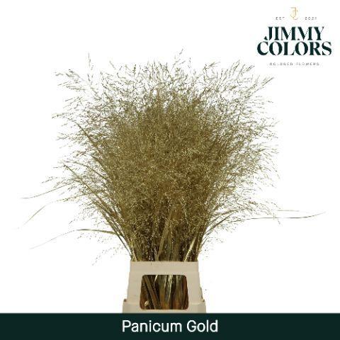 Siergras kleurbehandeld H%