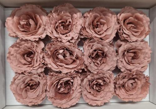 Rosa grootbloemig kleurbehandeld H%